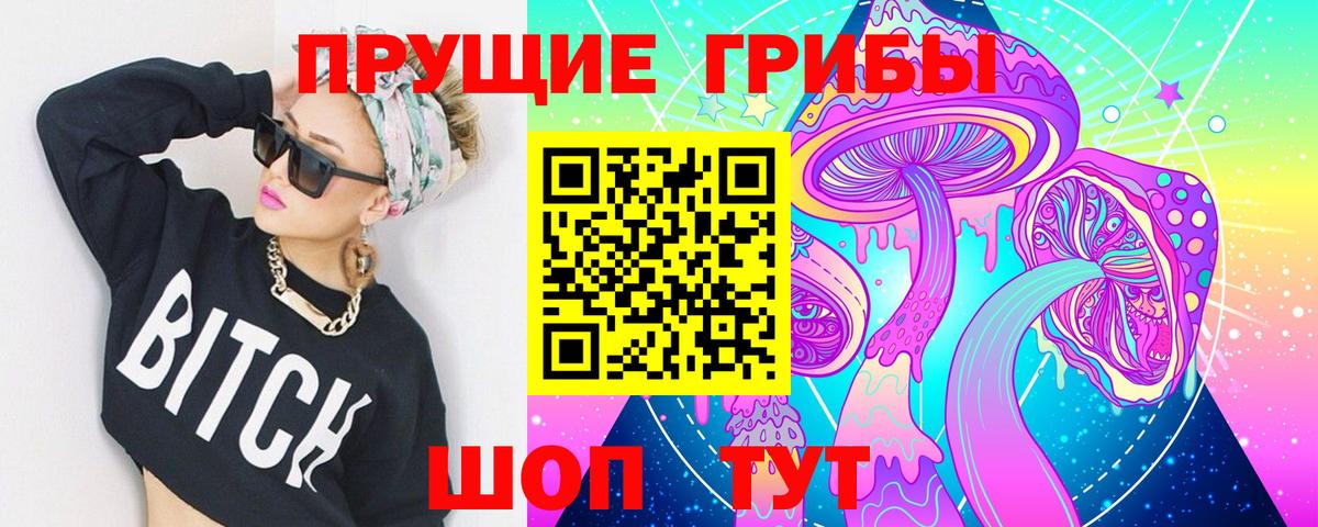 Клинцы  Псилоцибиновые грибы Psilocybine cubensis  Вход с VPN 