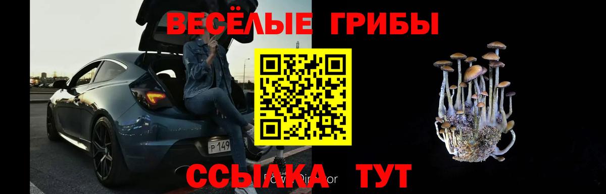 Псилоцибиновые грибы прущие грибы Клинцы