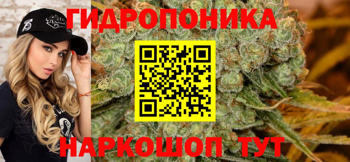 Бошки марихуана White Widow Клинцы